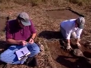 Video Image