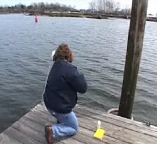 Video Image