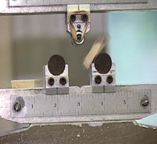 Video Image