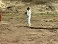 Video Image